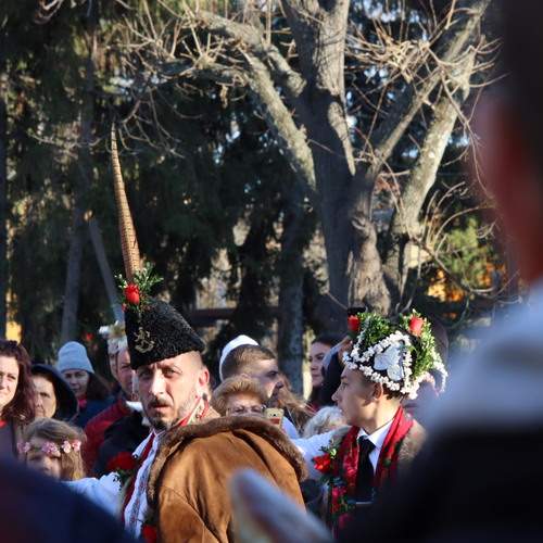 Photo #12854749