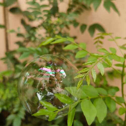 Photo #12854973