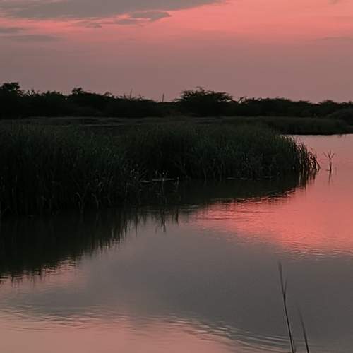 Photo #12855006
