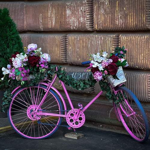 Photo #12855112
