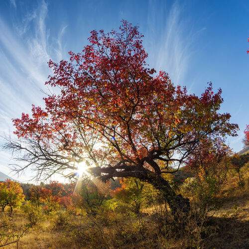 Дыхание осени.