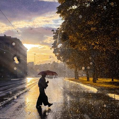 Photo #12855512