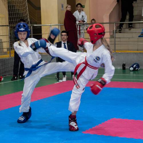 Photo #12855567