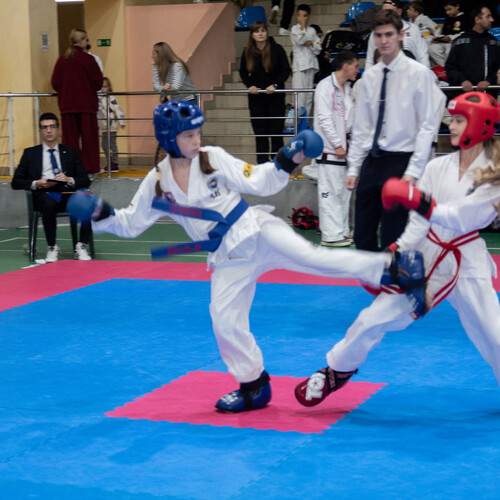 Photo #12855572