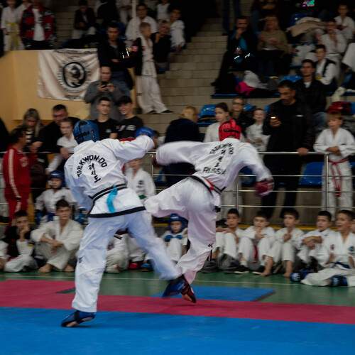 Photo #12855576