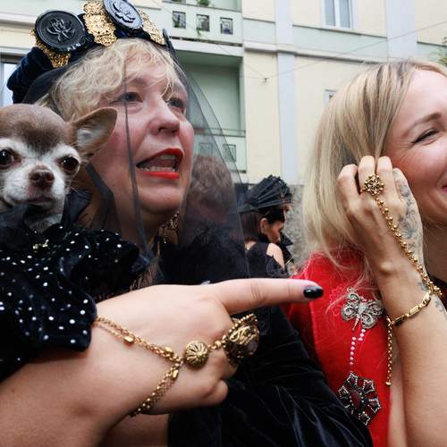 Фотография #12855822