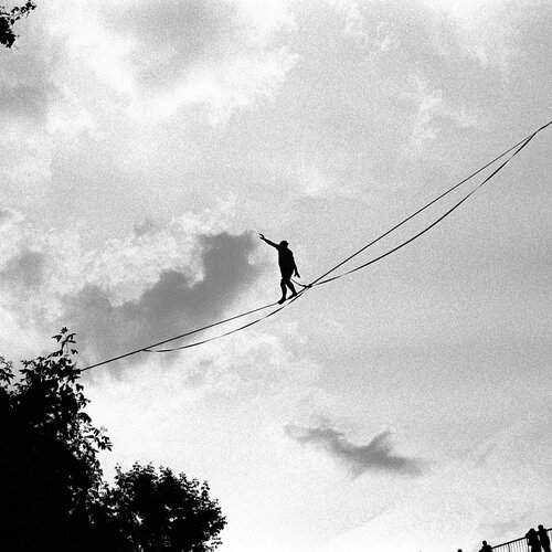 Photo #12855889