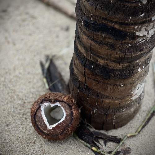 Photo #12855898