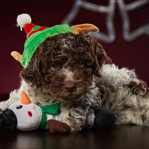 Photo #12855923