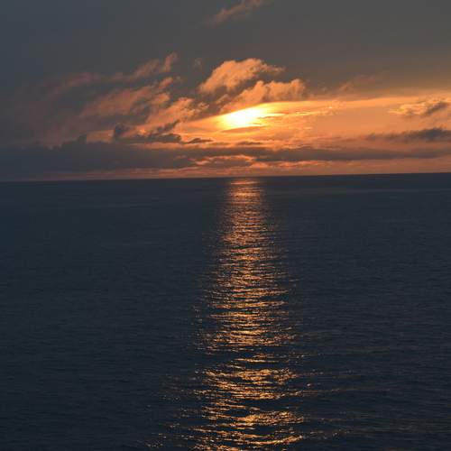 Photo #12855958