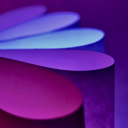 Photo #12856000