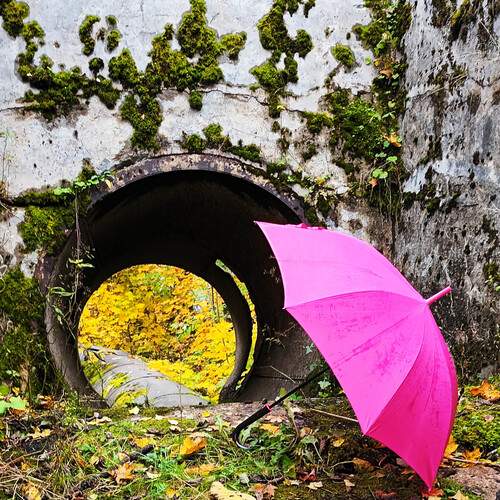Photo #12856062