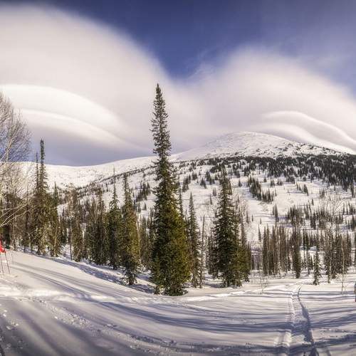 Photo #12856250