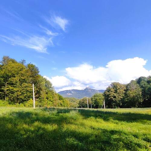 Photo #12856360
