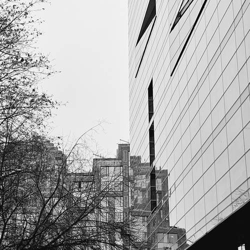 Photo #12856566