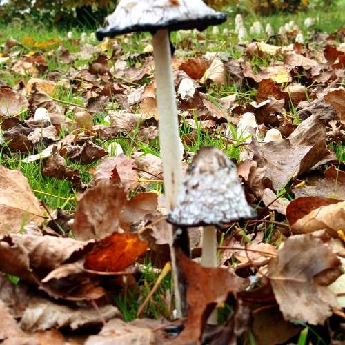 Photo #12856603