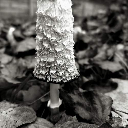 Photo #12856604