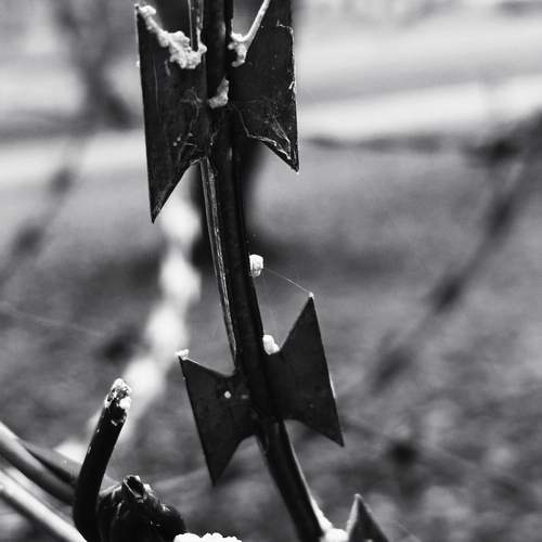 Photo #12856605