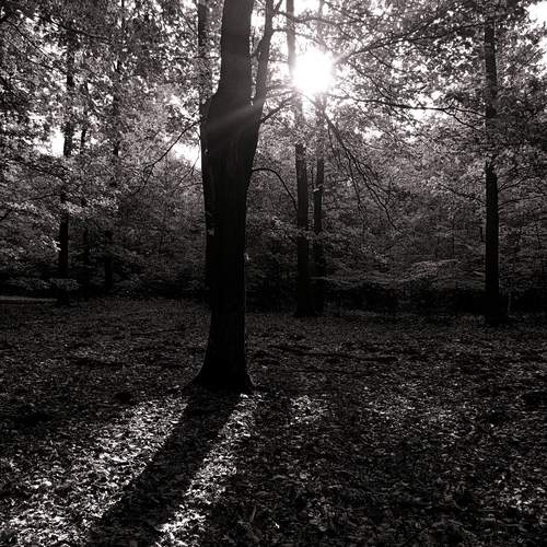 Photo #12856610