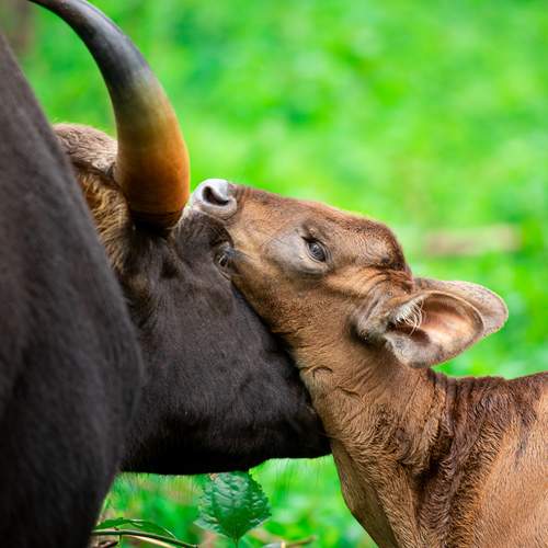 Photo #12856791