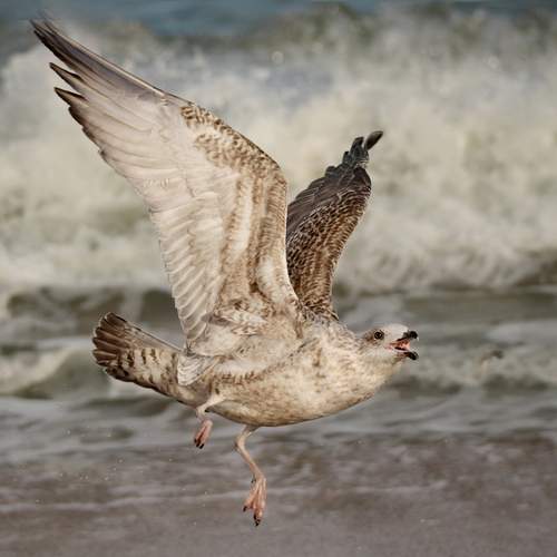 Фотография #12856901