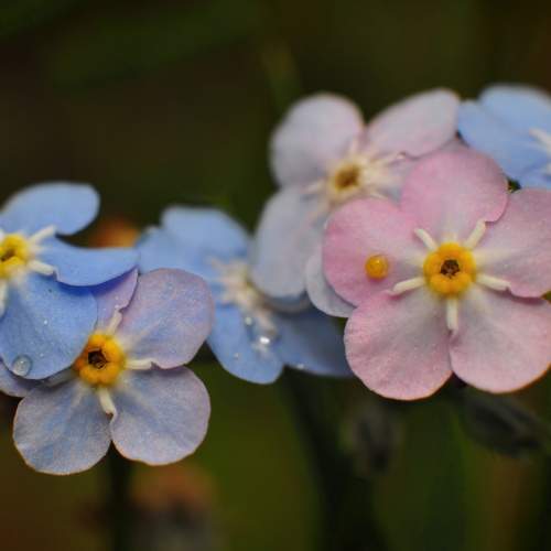 Photo #12857067