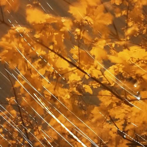 Photo #12857788