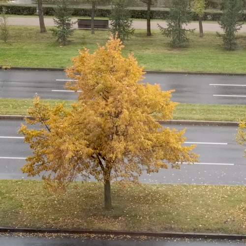 Осень