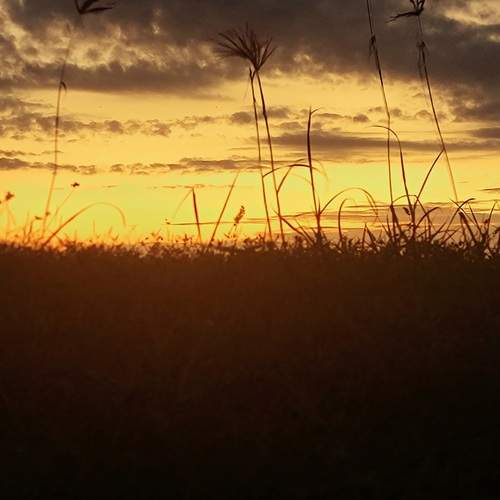 Photo #12857975