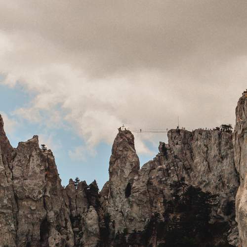 Photo #12858001