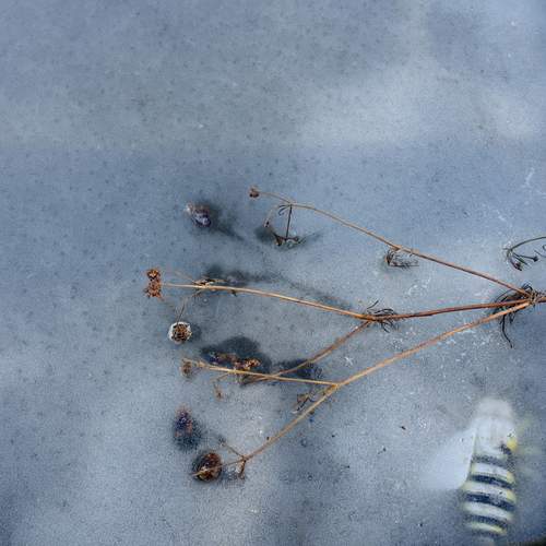 Photo #12858429