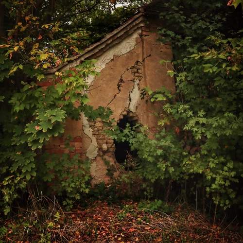 Photo #12858436
