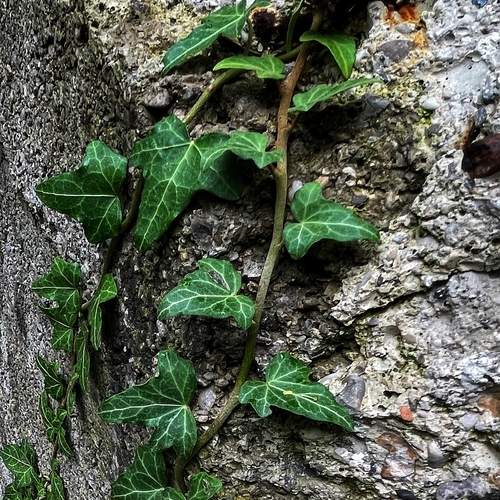Photo #12858443