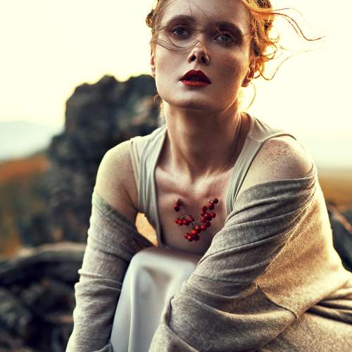 Photo #12858673
