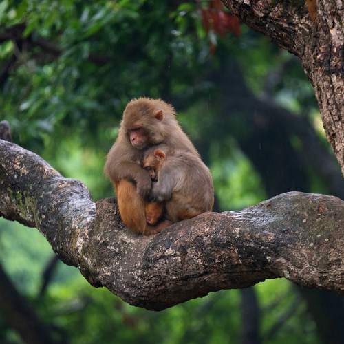 Photo #12858933