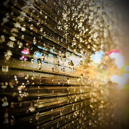 Photo #12859064
