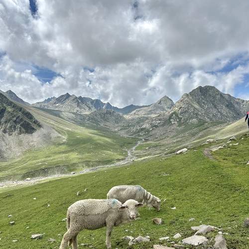 Photo #12859166