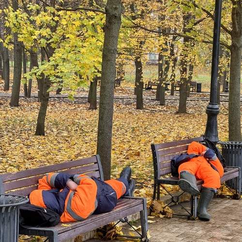 Photo #12859255