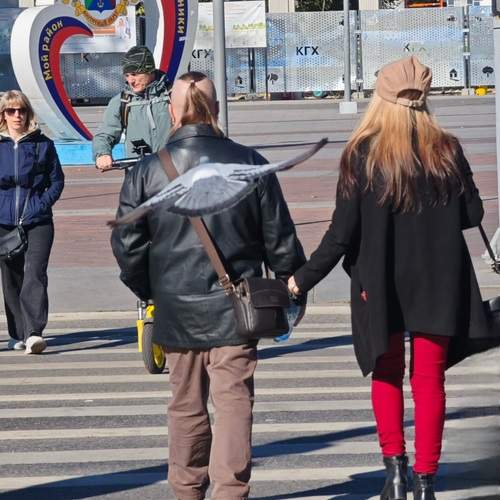 Photo #12859322