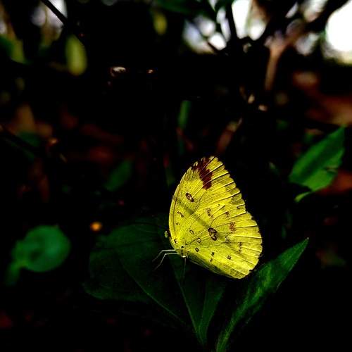 Photo #12859336