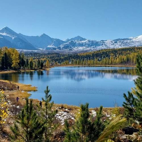 Photo #12859503