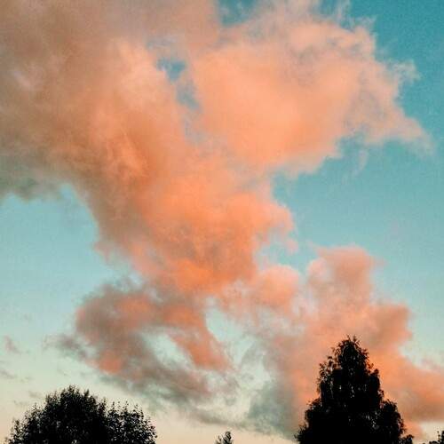 Photo #12859537