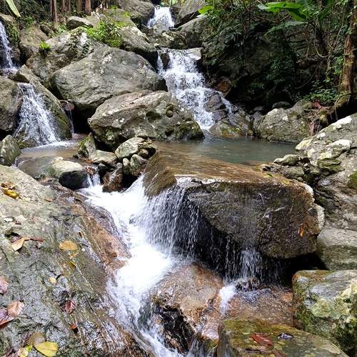 Photo #12859659