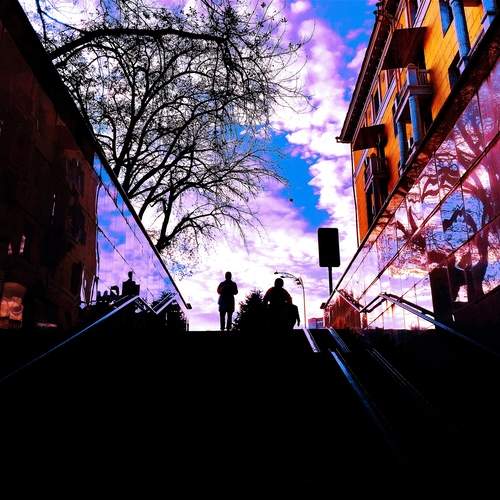 Photo #12859811