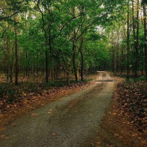 Photo #12859830