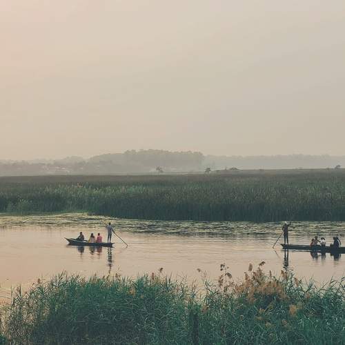 Photo #12859850