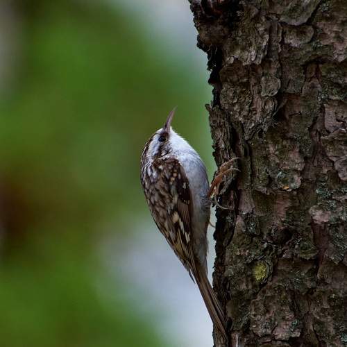 Photo #12859881