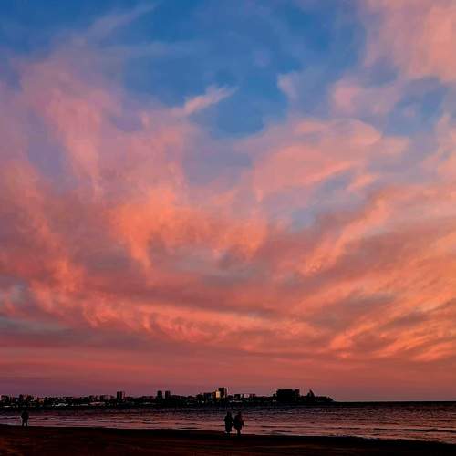 Photo #12859995