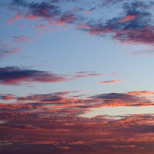 Photo #12860132