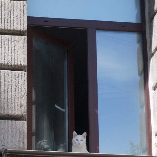 Photo #12860270